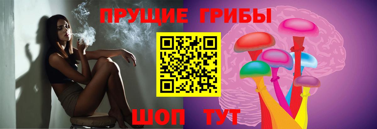 Псилоцибиновые грибы MAGIC MUSHROOMS  Вход с VPN  Лесосибирск 